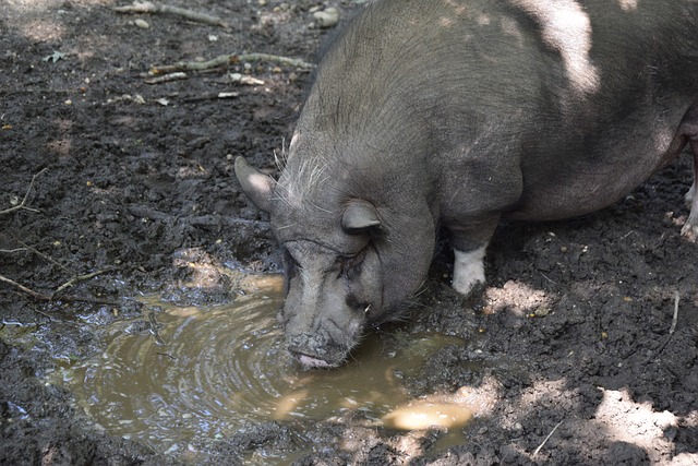 学自开展青 学自开展青