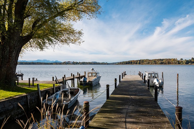 的完美联袂 的完美联袂