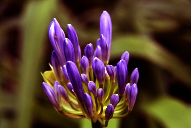 广东队如何 广东队如何