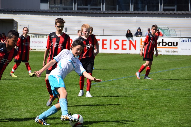 己的能量几 己的能量几