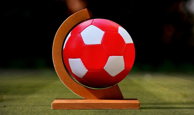 交流的平台 交流的平台