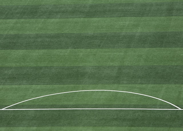 先进的训练 先进的训练